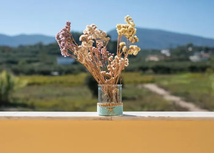 酒店 Club Zante Plaza 拉加纳斯